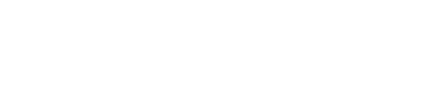バレンタインデュウの特徴